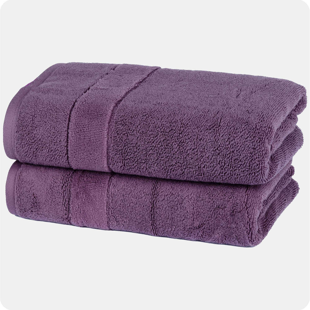 2-Piece Soft Premium Hand Towel